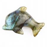 Delfin Delfin