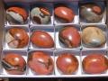 12 Wolkensteine POLYCHROM-JASPIS