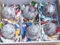 6 Kugeln RUBELLIT