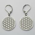 1 paire pendentifs d'oreille fle...