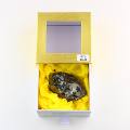 Edelschungit Einzelstück 67 g in...