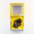 Edelschungit Einzelstück 67 g in...